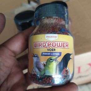 Phoenix BIRDPOWER Voer Pakan Burung Khusus Lomba