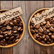 biji kopi robusta original ijen roasting 1 kg super