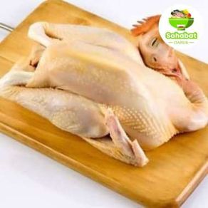 Ayam Kampung / 1 ekor