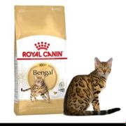 Makanan Kucing / Cat Food Royal Canin Bengal Adult 2 Kg