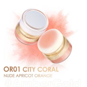 FOCALLURE Setting Powder