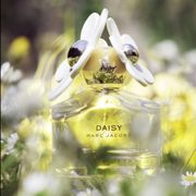 daisy marc jacob parfum edt wanita 100ml