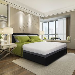 Florence Kasur Lateks Milan - Mattress Only