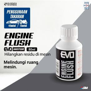 EVO Motor Engine Flush