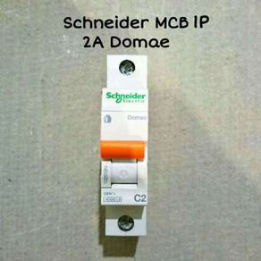 Mcb Schneider Domae 2a