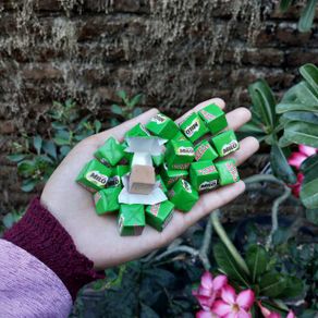 Ecer milo cube