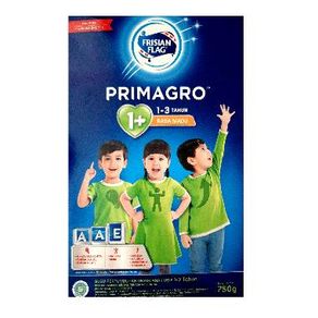 Frisian flag 123 800g