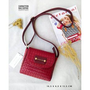 TAS CARNATYON SOPHIE MARTIN PARIS PROMO/TAS SOPHIE MARTIN/TAS SOPHIE PARIS