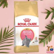 Royal Canin Kitten British Shorthair 2Kg - Short Hair
