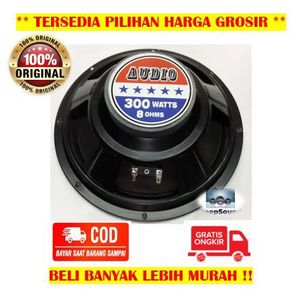 speaker 10 inch audax 300 watt