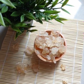 snow bird nest swallow - 100 gram