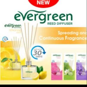 Evergreen diffuser