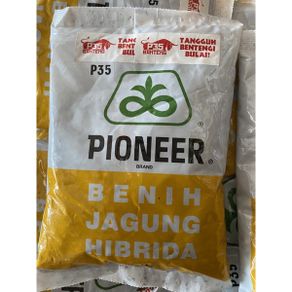 Benih jagung Hibrida PIONEER P35 Banteng kemasan 1kg