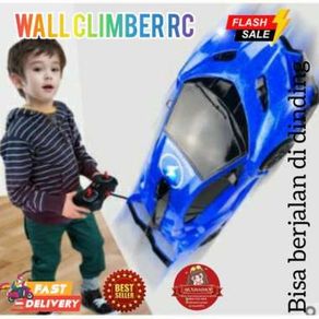 wall climber RC car