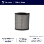 Filter Air Purifier Electrolux Fa41-402Gy Dn.66