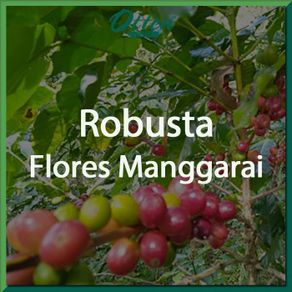 Green Bean Kopi Robusta Flores Manggarai - 1 Kg