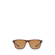 Eiger Glance Wayfarer Sunglasses - Brown