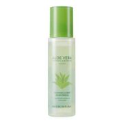 NATURE REPUBLIC Soothing & Moisture Aloe Vera 90% Toner