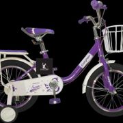 Sepeda Anak Perempuan Mini CTB Evergreen Swan 16"