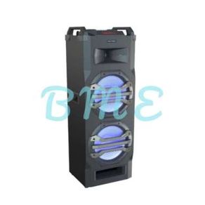 Speaker Portable PTS2K25 BLUETOOTH 2 MIC WIRELESS