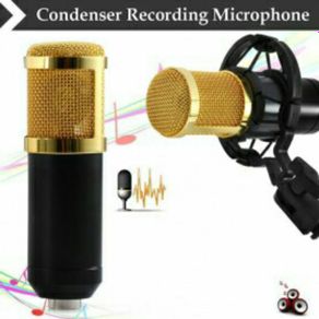 mic condenser bm-800