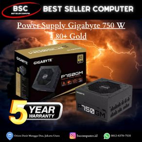 power supply gigabyte 750 w 80+ gold
