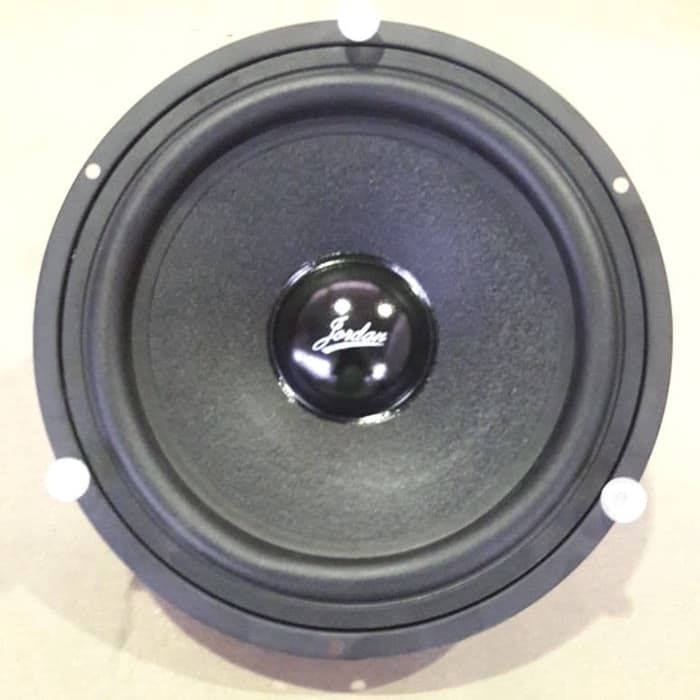 speaker jordan 8 inch