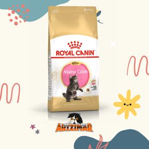 royal canin mainecoon kitten 400gr makanan kucing maine coon