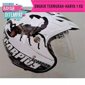 helm tgp double visor