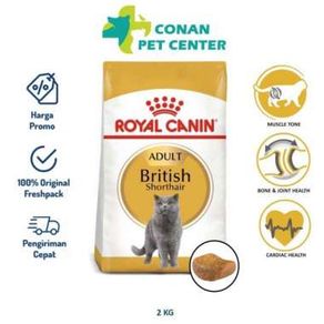 OEM Royal Canin British Shorthair Adult 2 kg