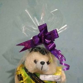 Boneka Teddy Bear Wisuda