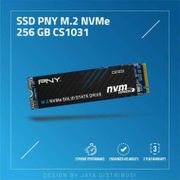 PNY M.2 NVME CS1031 256GB