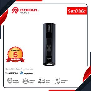 SANDISK EXTREME 256GB