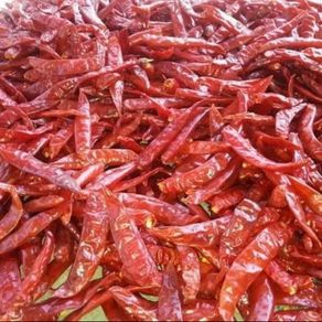Cabe Merah Teja Cabai Merah Kering Super Pedas Masih Fresh Packing Kiloan