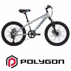 Sepeda Anak MTB 20 Polygon Maze