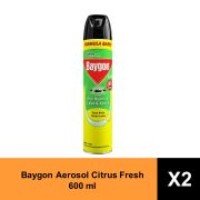 Baygon Aerosol Citrus Fresh 600 ml x 2 pcs
