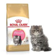 Gratis Ongkir Royal Canin Kitten Persian 400Gr-Makanan Kering Anak Kucing Persian