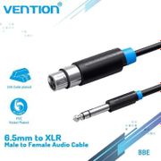 Vention [BBE 5M] Kabel Aux Audio Mic 6.5mm Male to XLR Female