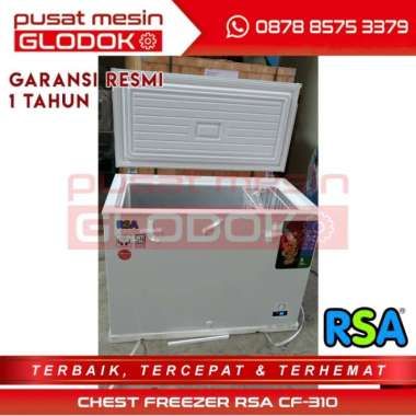 rsa cf310