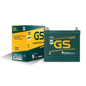GS NS40ZL Aki Mobil