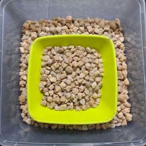 BATU BETA QUARTZ NATURAL CHIPS S 100 GRAMS