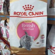 Royal Canin British Shothair Kitten 2Kg/Untuk Anak Kucing British