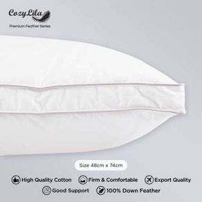 Pillow / Bantal Bulu Angsa 100% Down