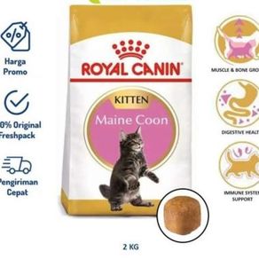 Royal Canin Maine Coon Kitten 2 Kg