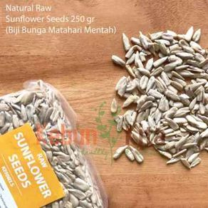 Natural Sunflower Kernel Seeds 250 Gr