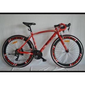 Sepeda Balap Road Bike Evergreen EG Rapier AL 60mm 700C Keren Harga Murah