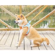 TALI TUNTUN ANJING TALI ROMPI HARNESS TALI KUCING