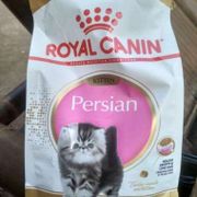 Royal Canin Kitten Persian 400gr