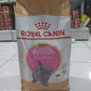 Royal Canin Britis Kitten 2Kg/Cat Food Rc British Kitten 2 Kg
