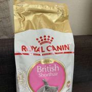 Royal Canin Bsh Kitten 2Kg British